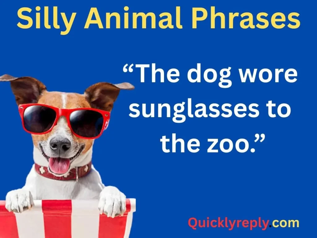 Silly Animal Phrases