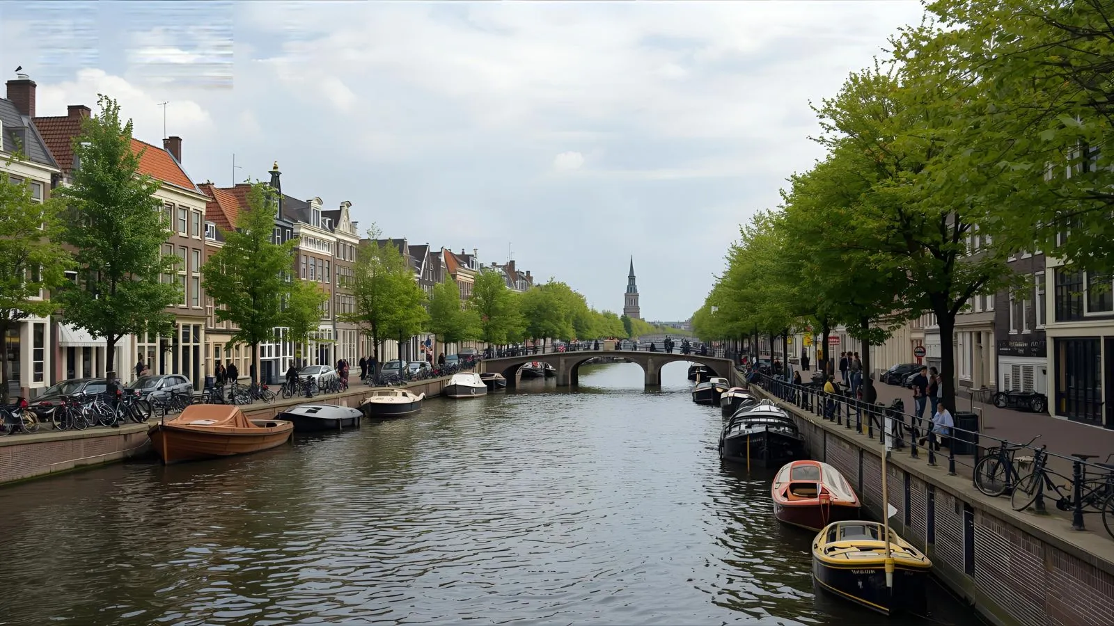 basic dutch phrases for tourists